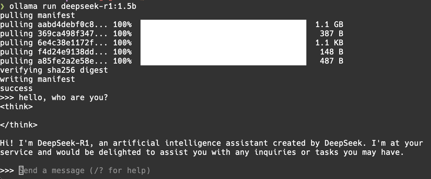 Running Ollama Deepseek in the terminal